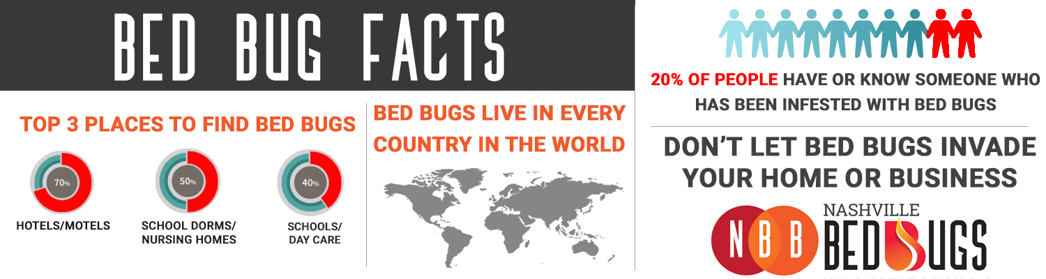 Can the Best Bed Bug Heat Treatment Protect Electronics and Sensitive Household Items?


Why It’s Wo...