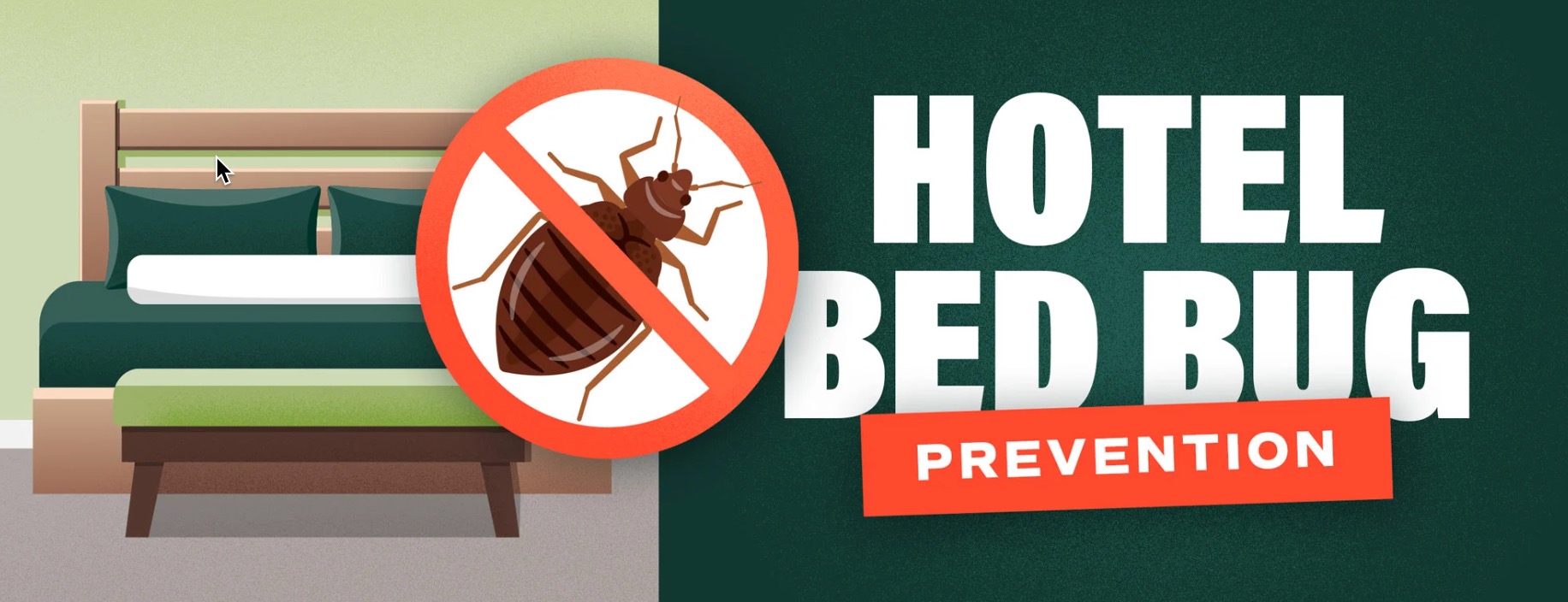 hotel bed bug removal